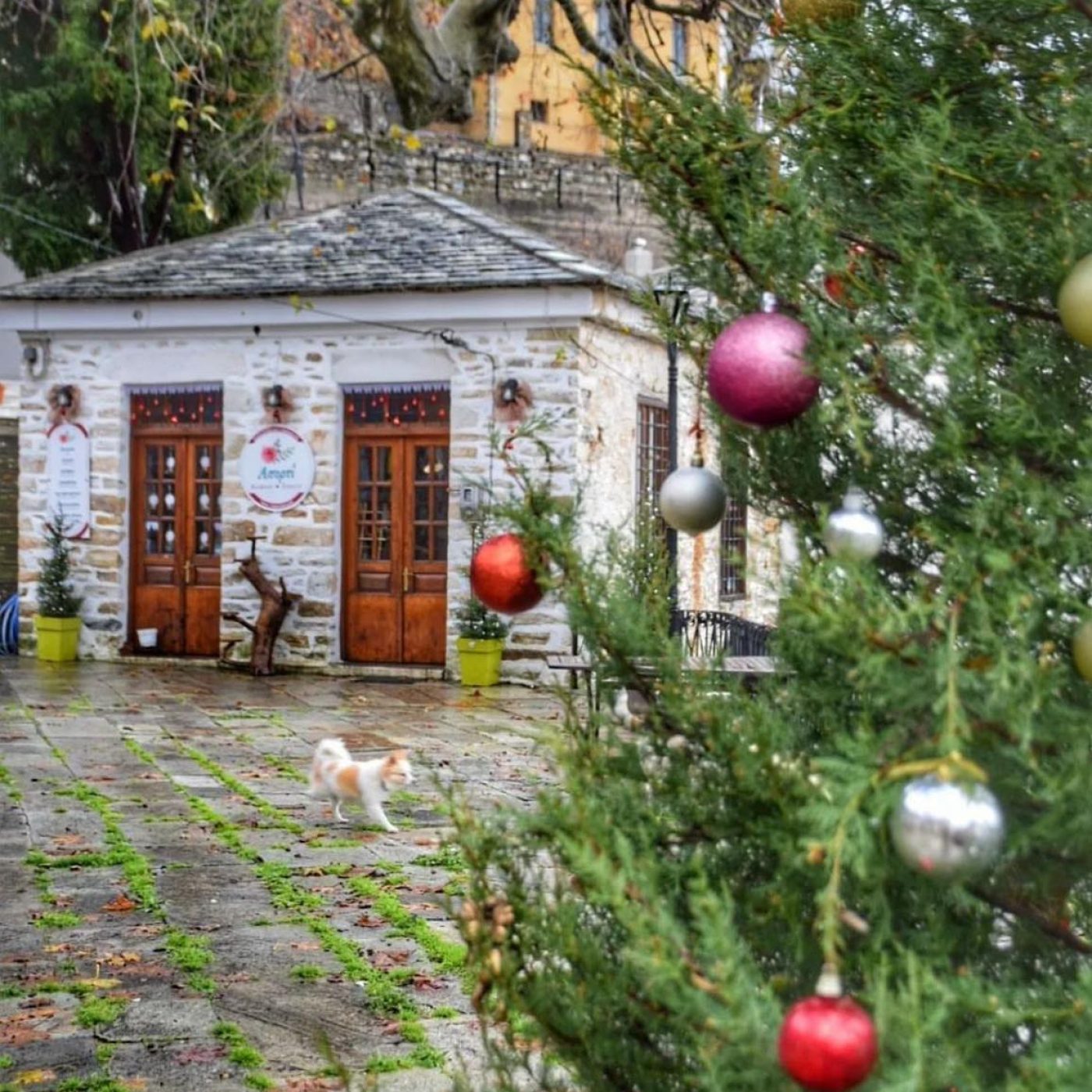 christmas in greece 21