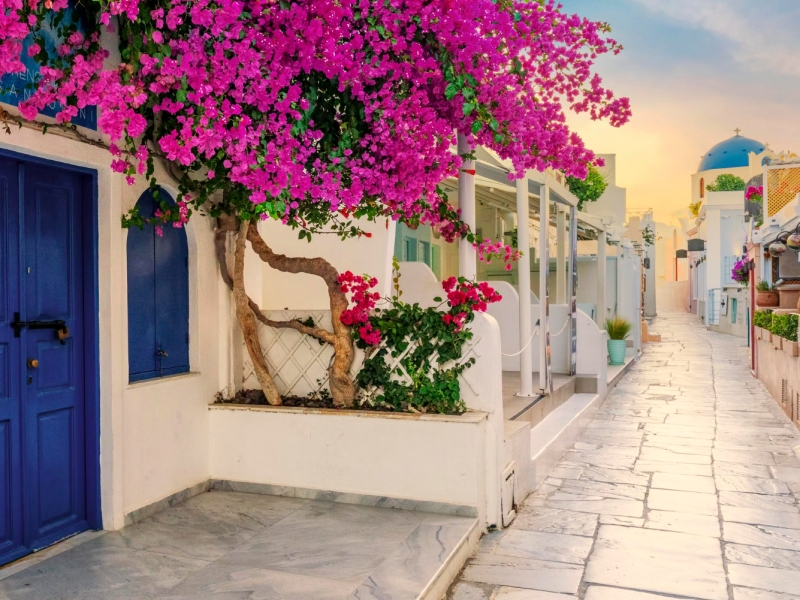 culinary tour in naxos & paros 1