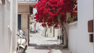 Greek Reset Retreat — Athens & Naxos | 13–19 July 2026